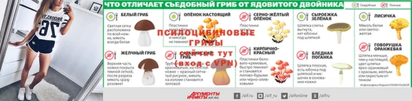 МДПВ Алексин
