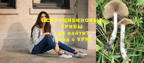 ECSTASY Алексеевка